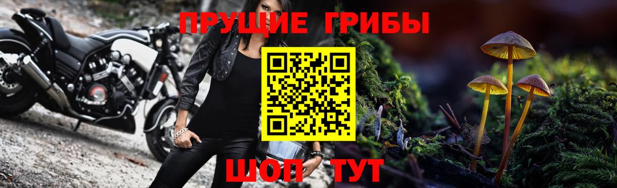 Мценск  где купить   Псилоцибиновые грибы Magic Shrooms  Вход с VPN  Псилоцибиновые грибы GOLDEN TEACHER 